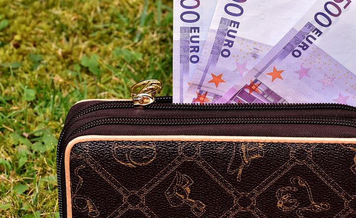 euro/środowisko / autor: Pixabay