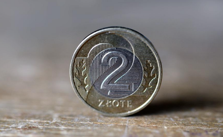 Zdjęcie ilustracyjne / autor: Pixabay.com