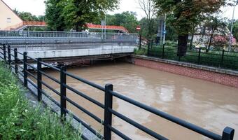 Andrzej Ługin po ulewach: Gdańsk staje się betonową pustynią
