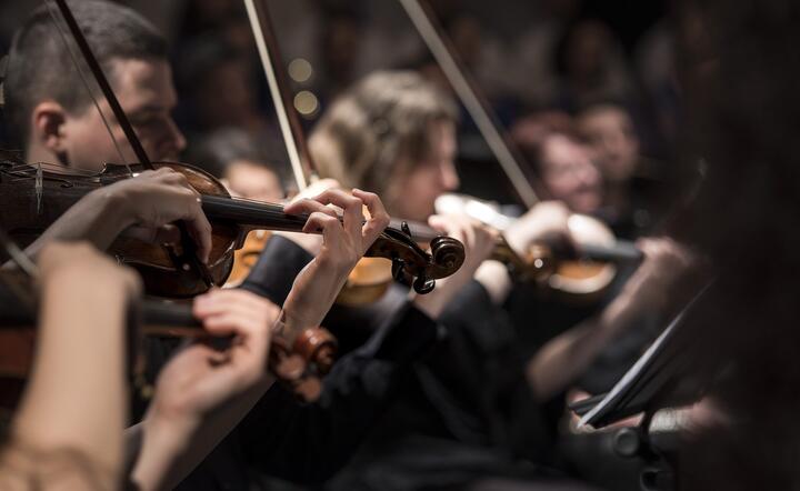 Włoscy muzycy chcą wrócić na sceny / autor: Pixabay