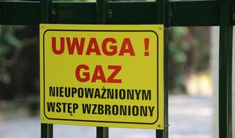 GAZETA BANKOWA: Głód gazu