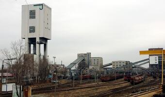Prezes PGG o łączeniu kopalń: badamy wszystkie modele