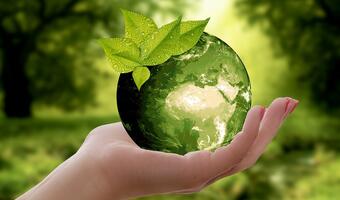 Teraz obwiniają banki za zmiany klimatu