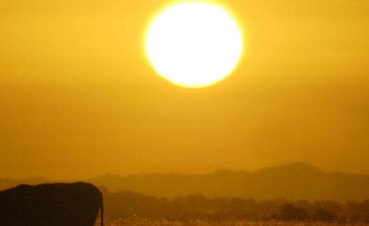 Fot. Eduardo Amorim / photo on flickr