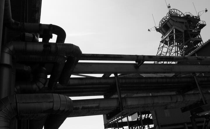 fot. www.freeimages.com