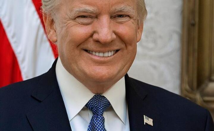 Donald Trump / autor: Pixabay