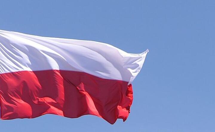 Program Pawła Kukiza