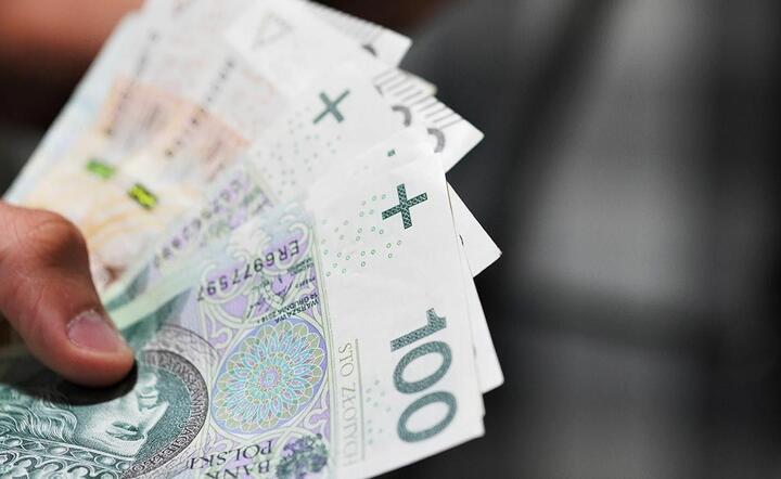 gotówka w ręku / autor: TVP Info