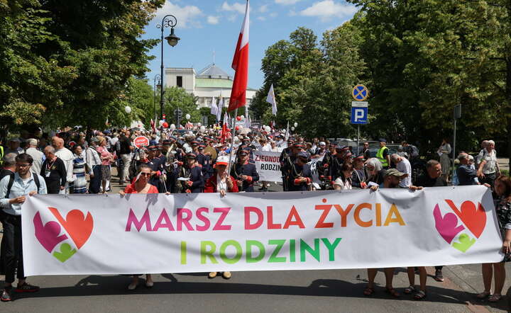 Uczestnicy XIX Narodowego Marszu dla Życia i Rodziny w Warszawie, który idzie pod hasłem "Zjednoczeni dla Życia, Rodziny, Ojczyzny" / autor: PAP/Paweł Supernak