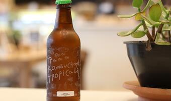 Kombucha – zdrowy napój, ale jest jeden warunek