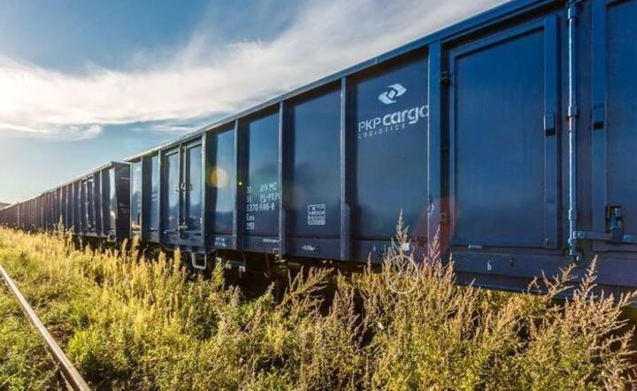 PKP Cargo  / autor: Pixabay