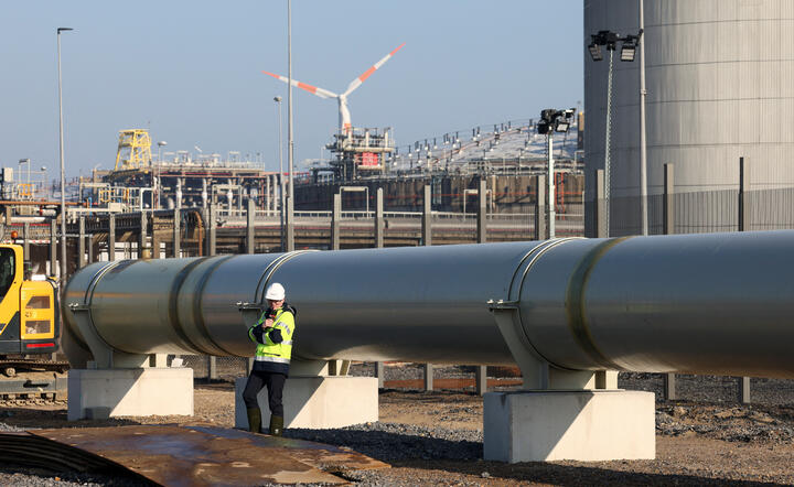 Port w Zeebrugge / autor: Reuters