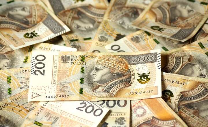 Wynagrodzenia w Polsce rosną o 10,6 proc., co jest bardzo dobrym wynikiem, biorąc pod uwagę 4,2 proc. inflacji / autor: Pixabay