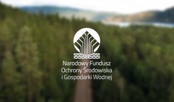 NFOŚiGW i Microsoft połączyli siły w walce o środowisko