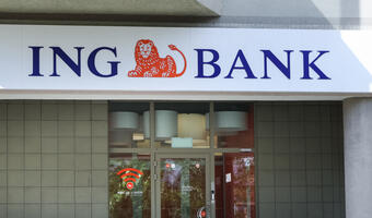 ING: lutowa nadwyżka budżetowa jest niewielka