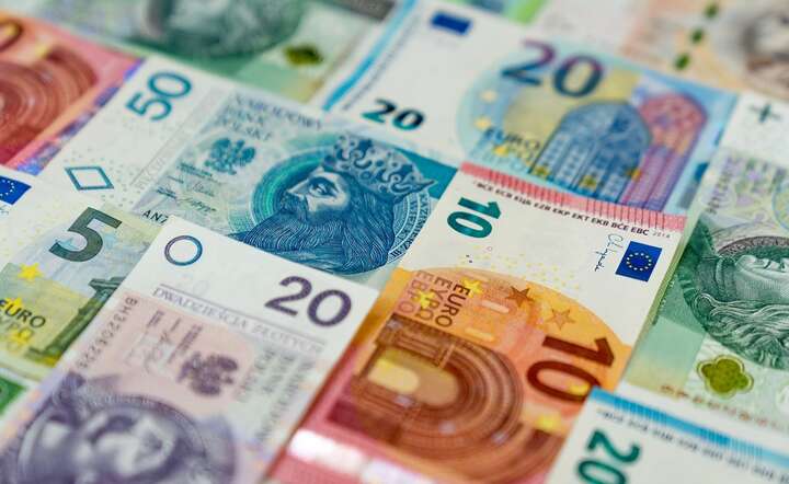 Kurs złotego powinien się ustabilizować na poziomie 4,2-4,3 zł za euro / autor: Fratria / AS