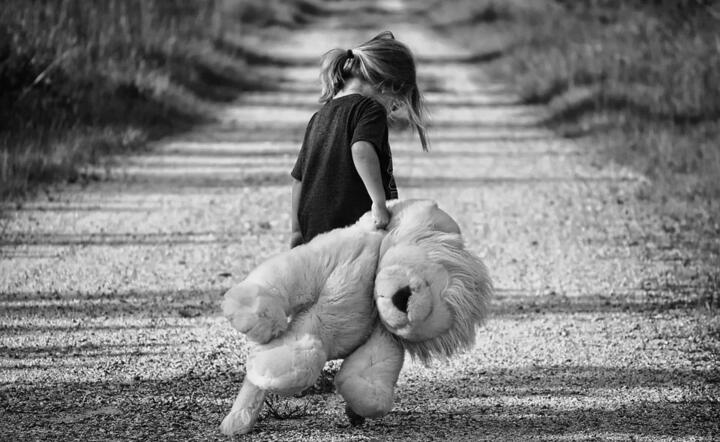fot. Pixabay / autor: fot. Pixabay