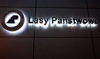 Cios w finansowe podstawy Lasów Państwowych?
