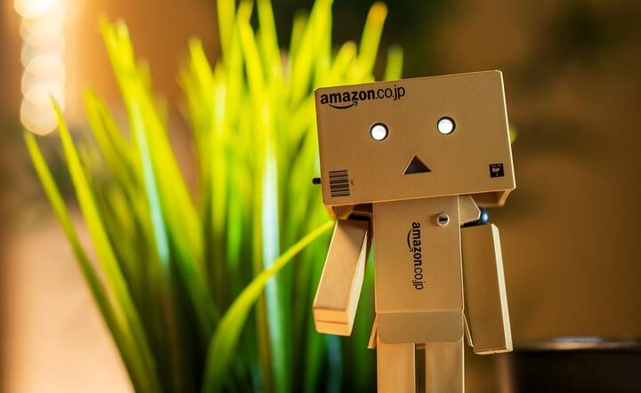 Amazon / autor: fot. Pixabay