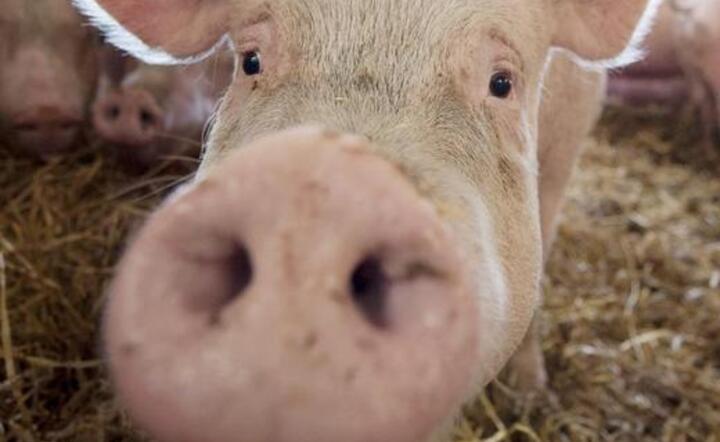fot. www.insuedthueringen.de