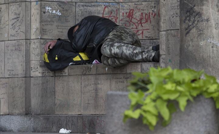 Bezdomny / autor: fot. Fratria
