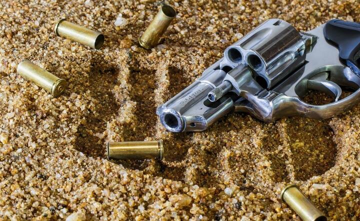Pistolet / autor: Pixabay.com