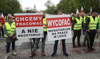 Polacy znów wyszli na ulicę! Protest branży drzewnej