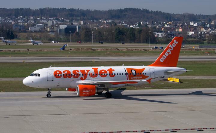 Przestępcy uzyskali dostęp do danych 9 mln klientów EasyJet, skradziono ponad 2200 numerów kart kredytowych / autor: Pixabay
