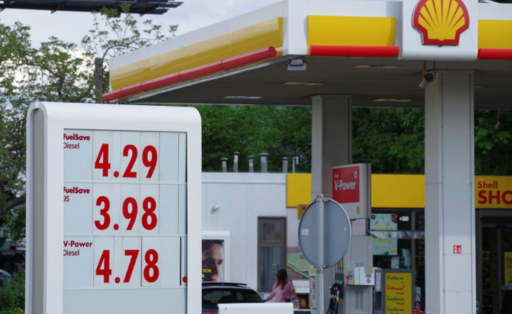 Shell / autor: Fratria