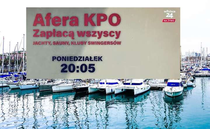 25 maja szokujący reportaż telewizji wPolsce24 „Afera KPO. Zapłacą wszyscy” / autor: Pixabay / Fratria