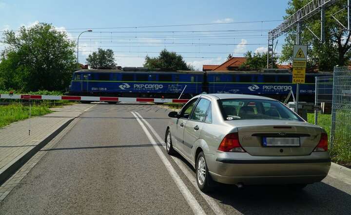 PKP Cargo / autor: fot. Fratria
