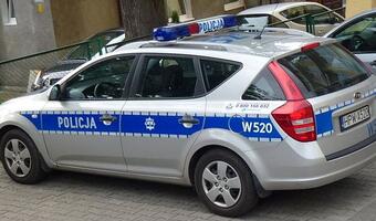 Policja zlikwidowała gang oszustów podatkowych