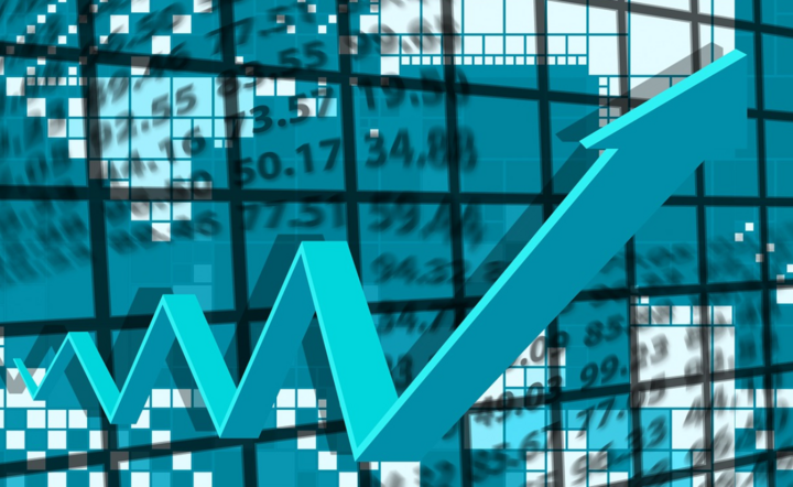 Ocena NIK  / autor: pixabay.com/pl
