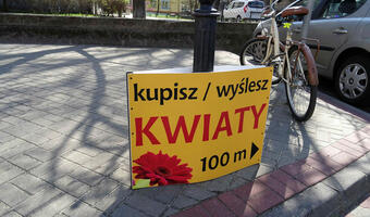 UOKiK: postępowanie wobec firmy Poczta Kwiatowa