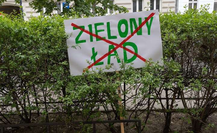 Przepisy o odbudowę zasobów przyrody stanowią cześć Zielonego Ładu, przeciw któremu wiosną w całej Europie trwały protesty rolników / autor: Fratria / Andrzej Wiktor