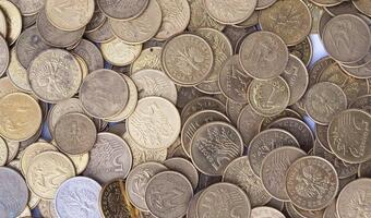 Złoty gotów na decyzję Fitch