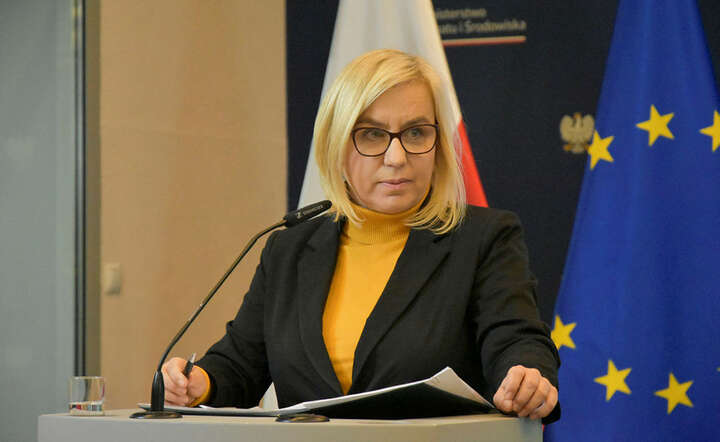 Minister klimatu i środowiska Paulina Hennig-Kloska / autor: Pixabay