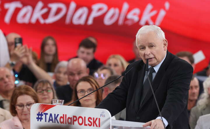 TOMASZÓW MAZOWIECKI KONWENCJA WYBORCZA PIS / autor: PAP/Marian Zubrzycki