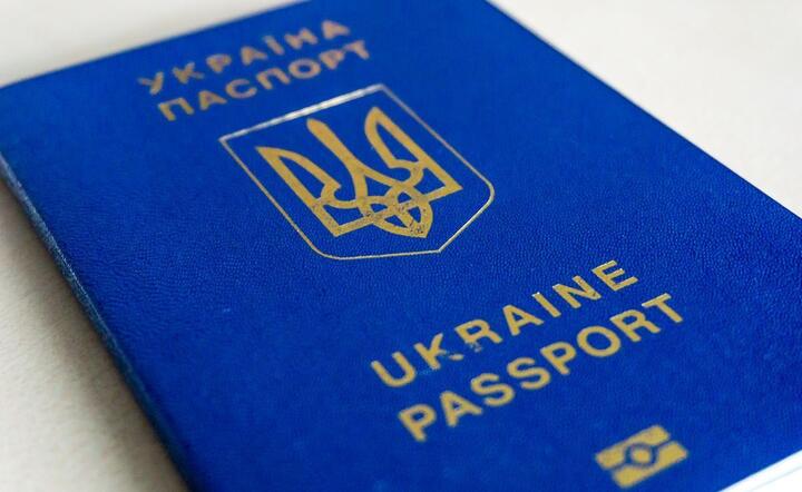 Wojna na Ukrainie / autor: fot. Fratria