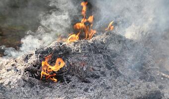 Chcą bronić prawa do smogu - sąd rozpatrzy sprawę