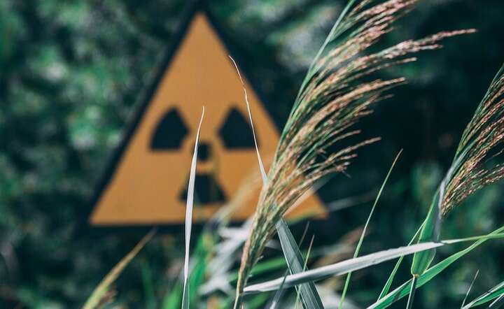 Pożar w elektrowni na Ukrainie. Co z radiacją?
