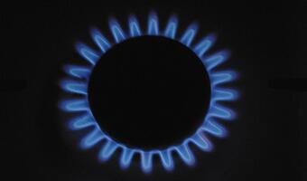 Przewodniczący Rady Europy Tusk zapomniał o swoim projekcie unii energetycznej