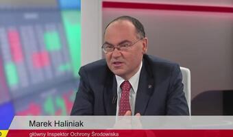 Haliniak: 2 mld zł tyle wynosi szara strefa w ochronie środowiska