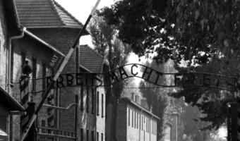 Zmowa cenowa izraelskich biur turystycznych przy organizowaniu wyjazdów do muzeum Auschwitz