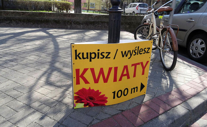 Zdjęcie ilustracyjne / autor: Fratria