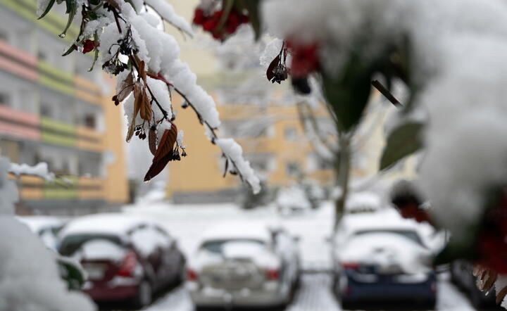Łódź po nocnych opadach śniegu, 27 bm. Intensywne opady mokrego śniegu występowały w całym regionie od piątkowego wieczoru / autor: PAP/Grzegorz Michałowski
