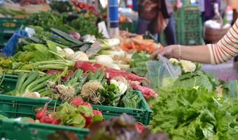 Wiemy kto w UE importuje najwięcej produktów rolnych z Rosji