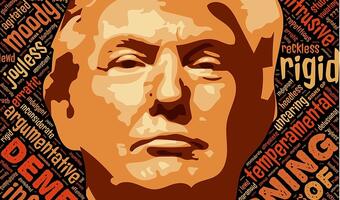 Donald Trump ostro o opozycji i mediach