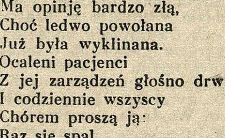 fot. Internet