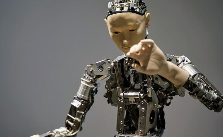 Robot  / autor: Pixabay 